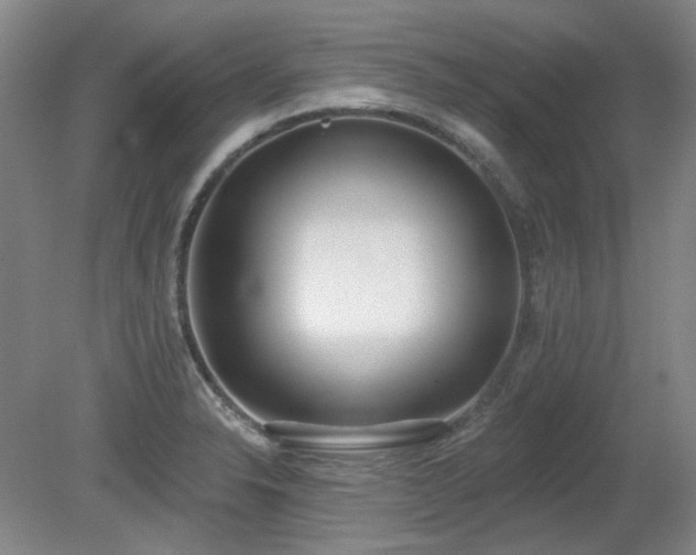X0000080671326200612151147