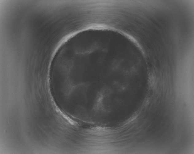 X0000080671327200612151147