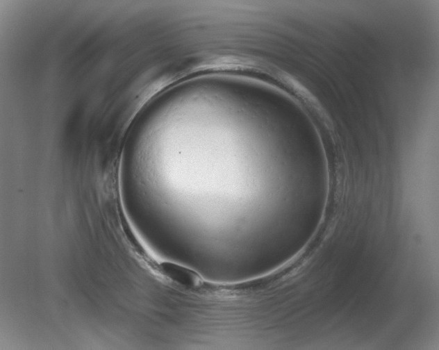 X0000080671329200612151147