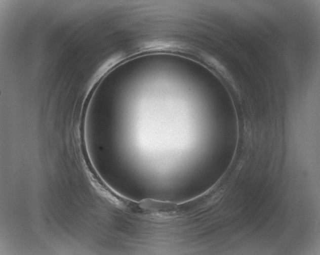 X0000080671330200612151147