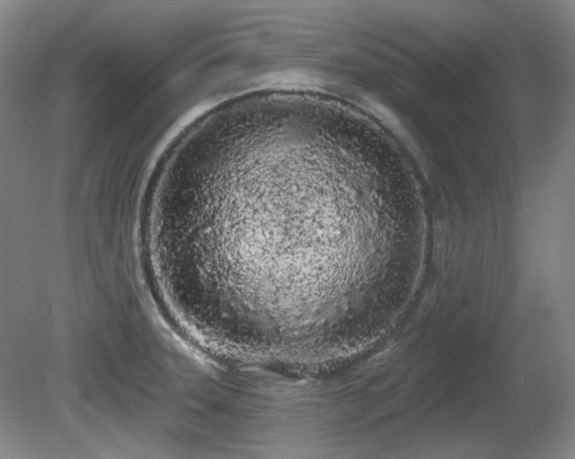 X0000080671331200612151147