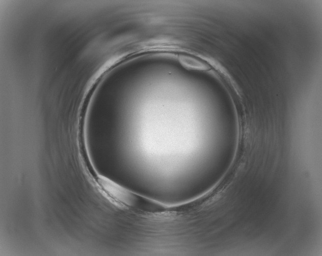 X0000080671333200612151147