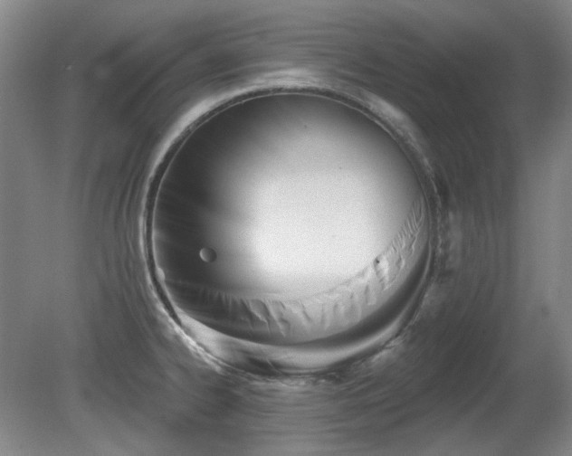 X0000080671334200612151147