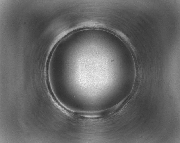 X0000080671335200612151147