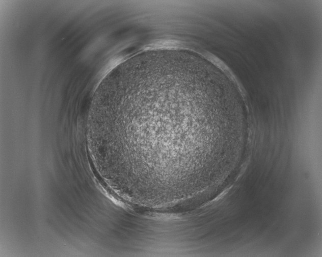 X0000080671337200612151147