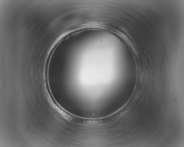 X0000080671339200612151147