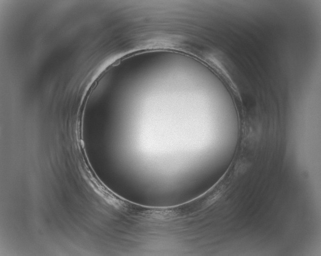 X0000080671340200612151147