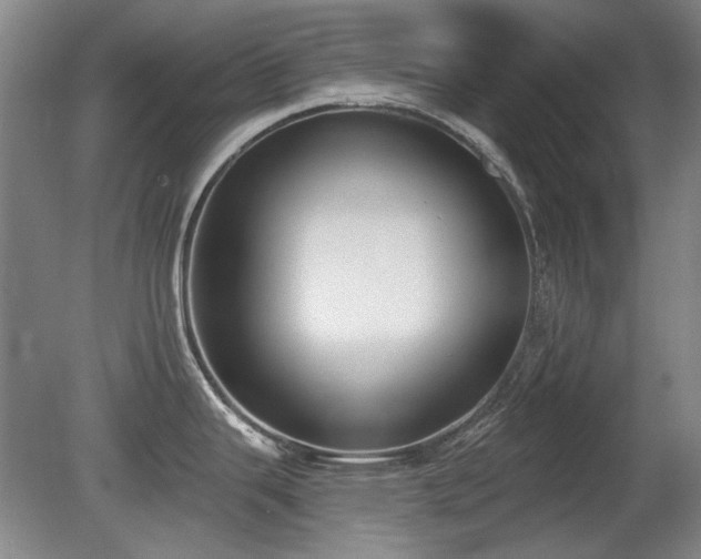 X0000080671343200612151147