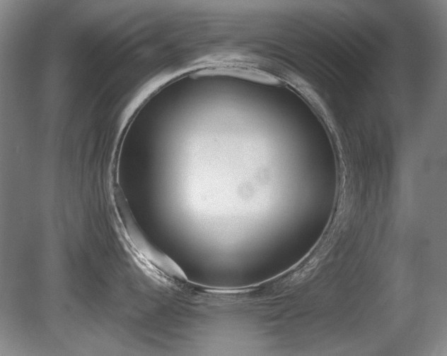 X0000080671344200612151147