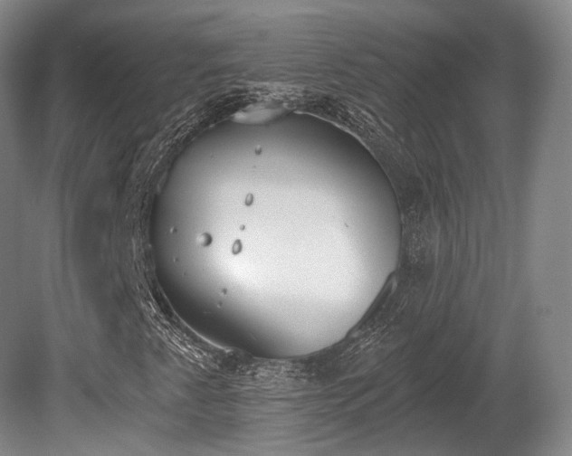 X0000080671345200612151146