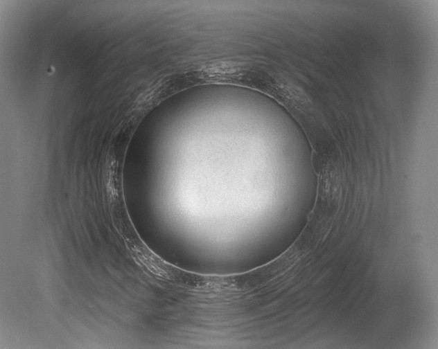X0000080671346200612151146
