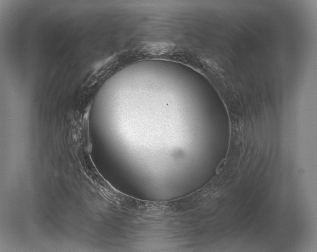 X0000080671349200612151146