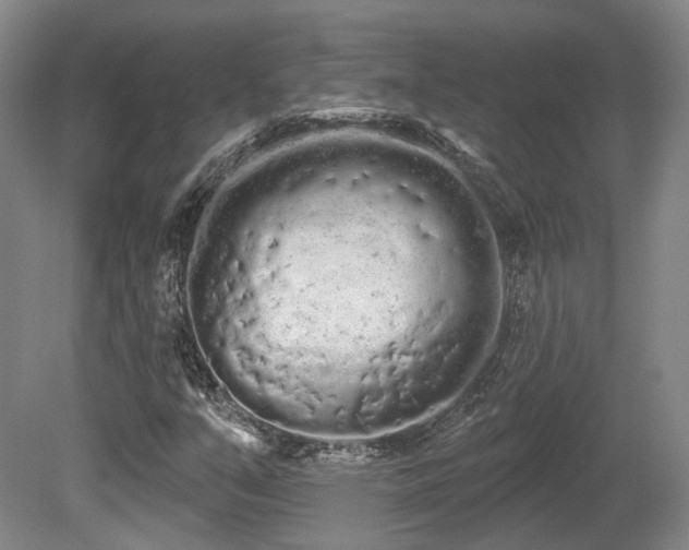 X0000080671351200612151146