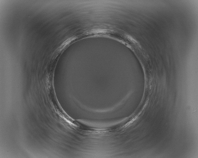 X0000080671353200612151146