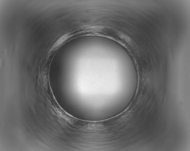 X0000080671354200612151146