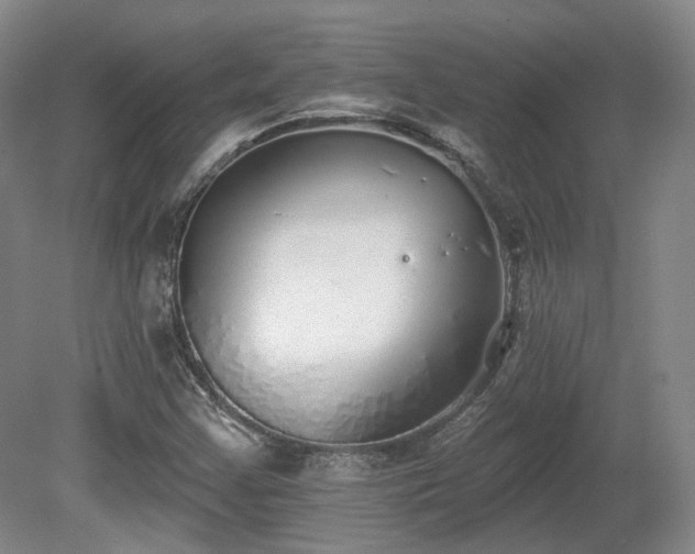 X0000080671355200612151146