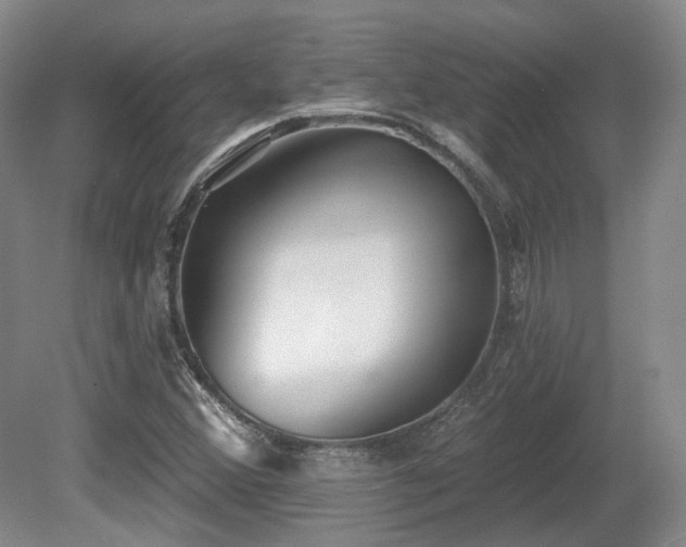 X0000080671356200612151146