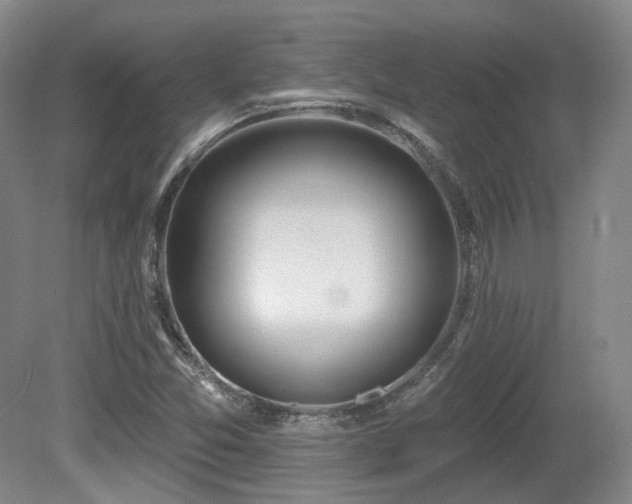 X0000080671357200612151146
