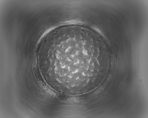 X0000080671358200612151146