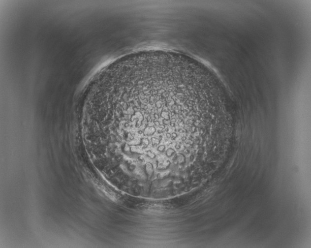 X0000080671359200612151146