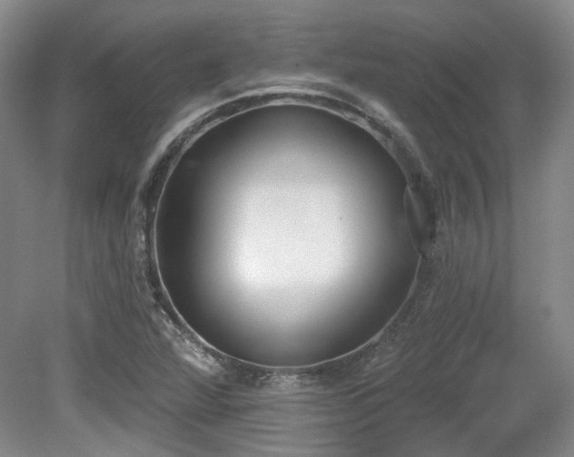 X0000080671360200612151146