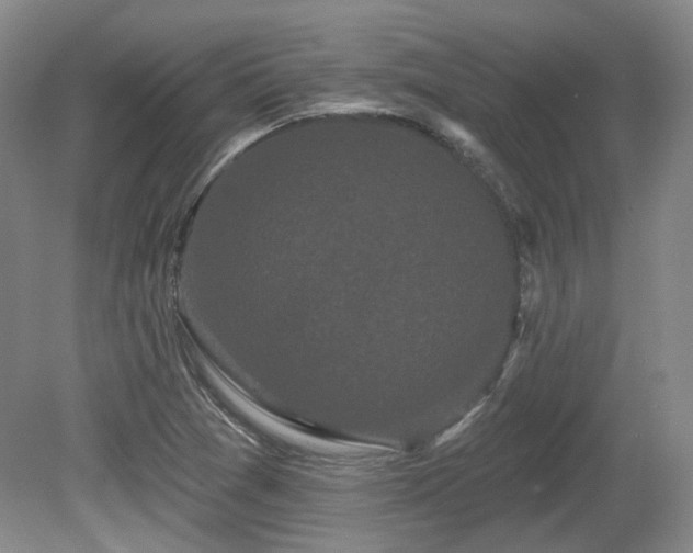 X0000080671361200612151146