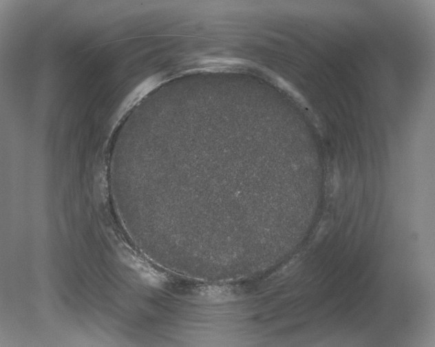 X0000080671362200612151146