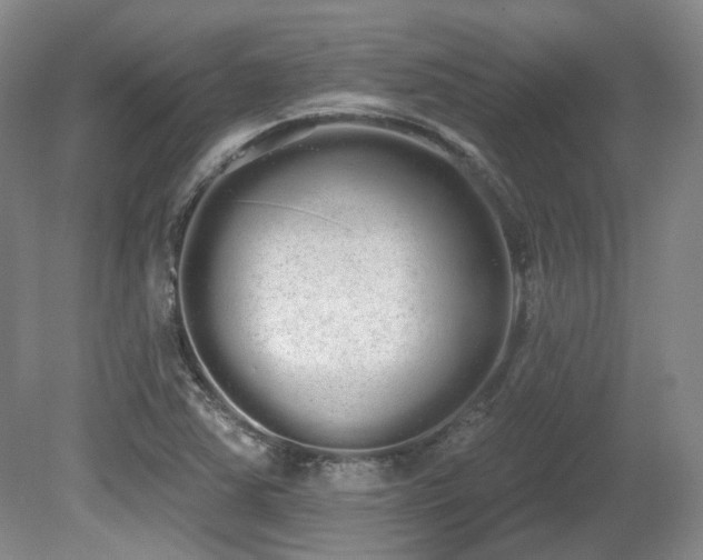 X0000080671363200612151146