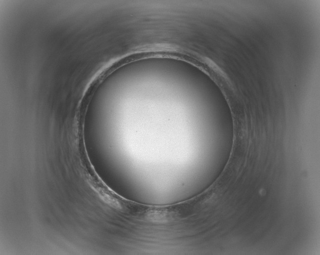 X0000080671364200612151146