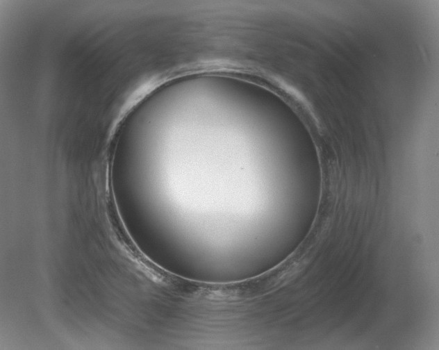 X0000080671365200612151146