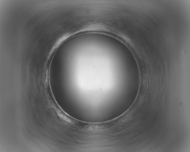 X0000080671366200612151146