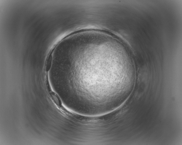 X0000080671367200612151146