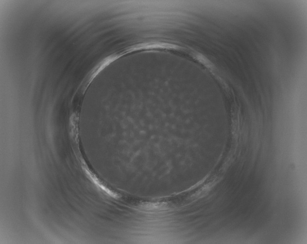 X0000080671369200612151146