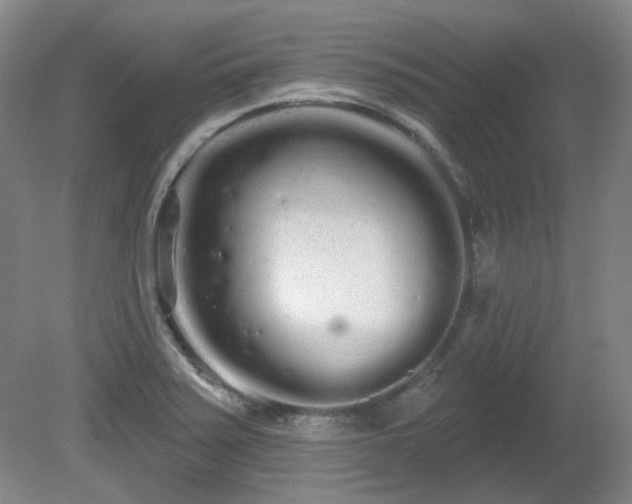 X0000080671371200612151146