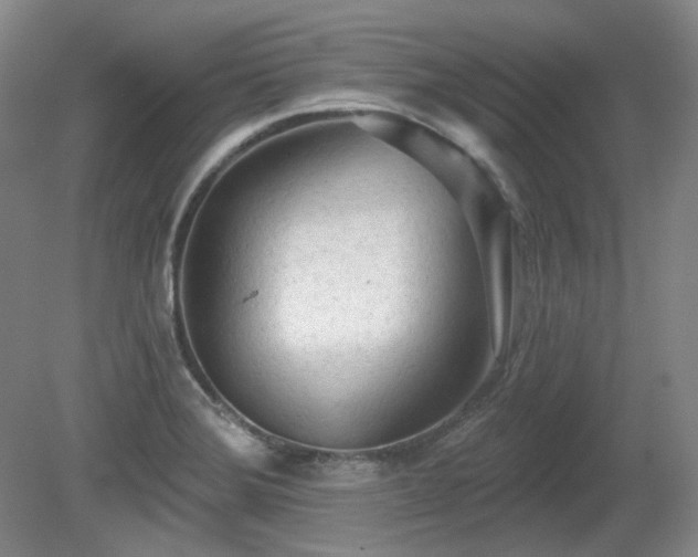 X0000080671372200612151146