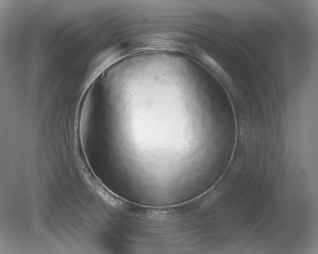 X0000080671378200612151146
