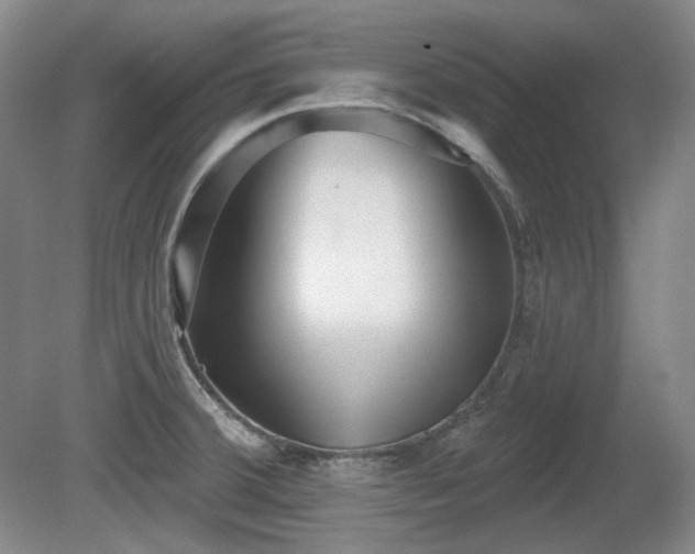 X0000080671380200612151146