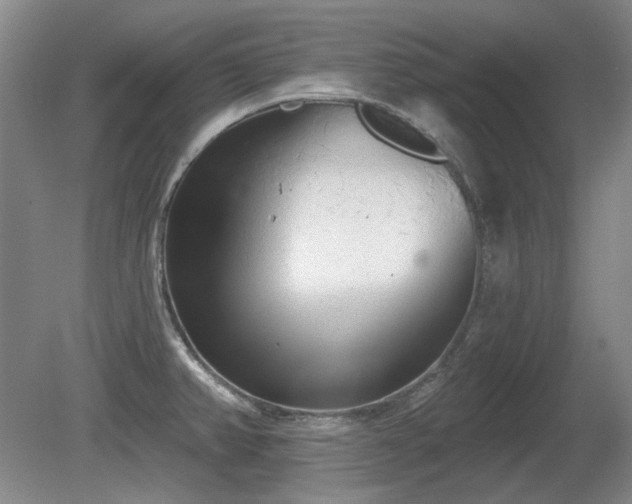 X0000080671382200612151146