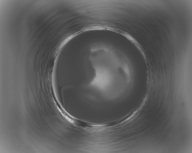 X0000080671385200612151145