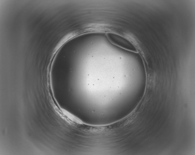 X0000080671386200612151145