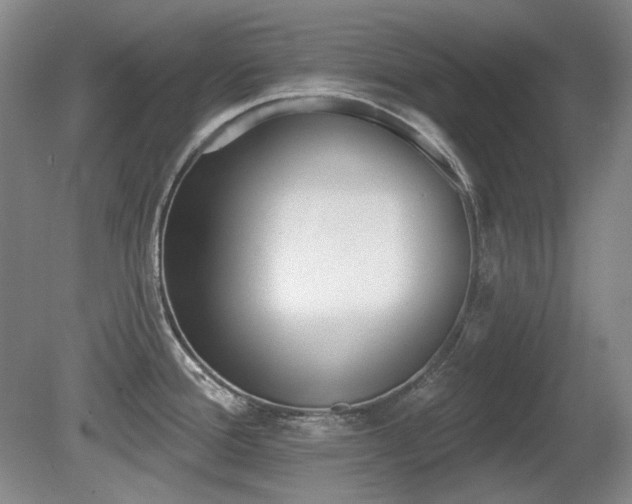 X0000080671388200612151145