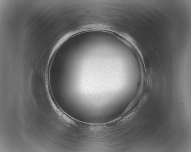 X0000080671389200612151145