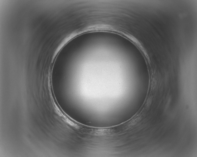 X0000080671390200612151145