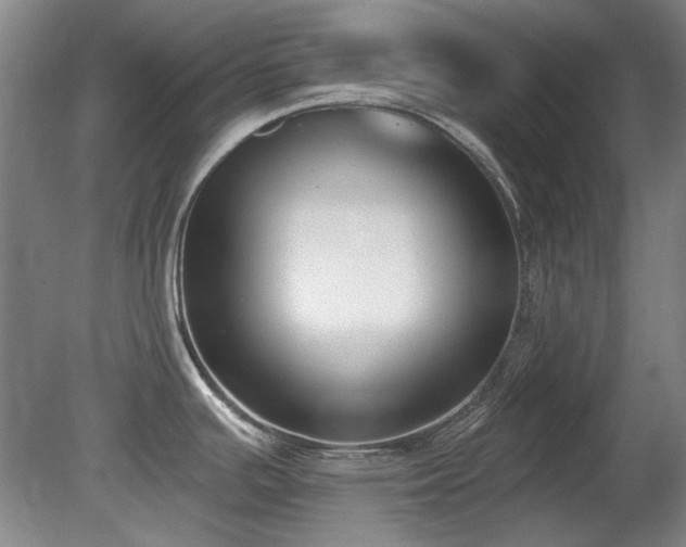 X0000080671391200612151145