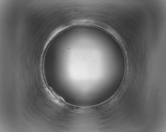 X0000080671392200612151145