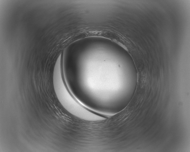X0000080671394200612151145