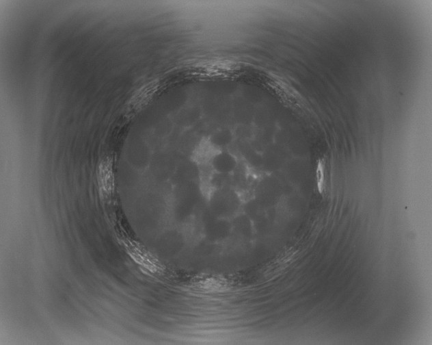 X0000080671395200612151145