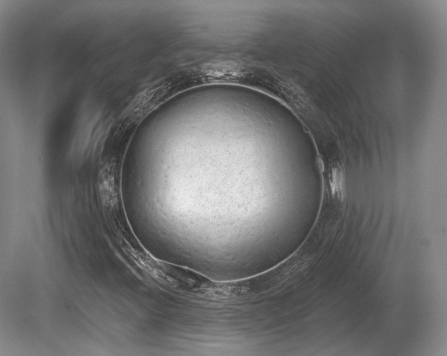 X0000080671396200612151145