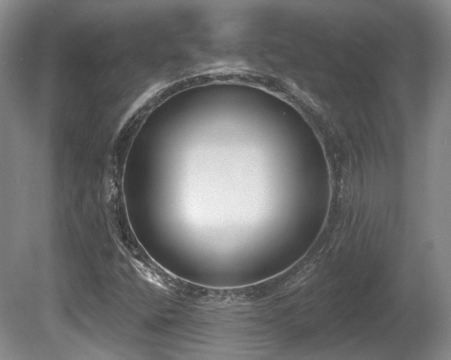 X0000080671400200612151145