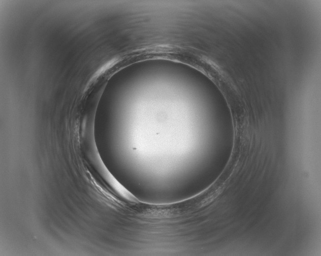 X0000080671402200612151145